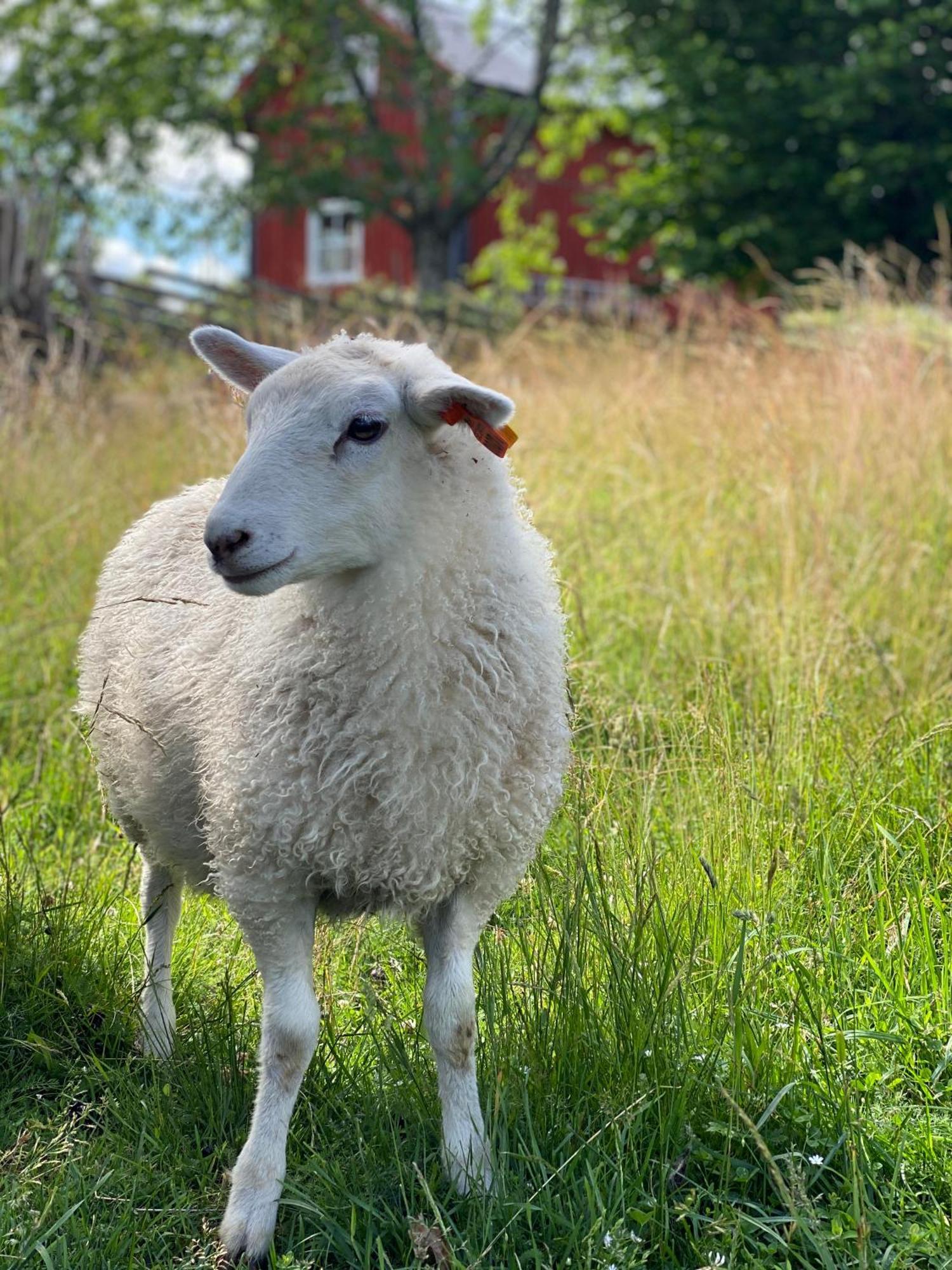 Vimmerby Stugby Zewnętrze zdjęcie