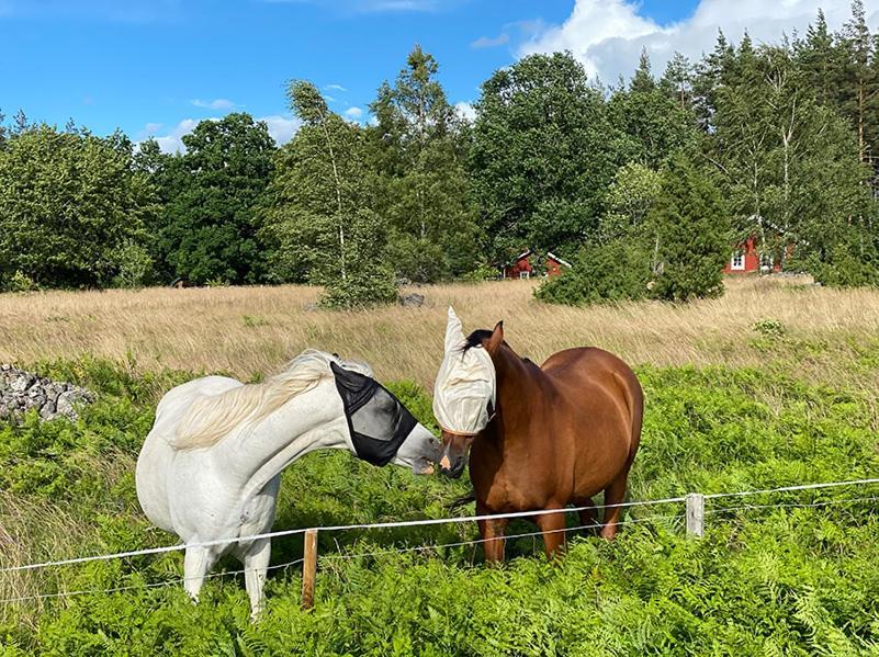 Vimmerby Stugby Zewnętrze zdjęcie